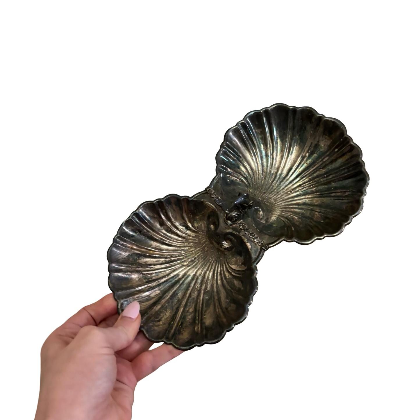 Silver Double Shell Dish