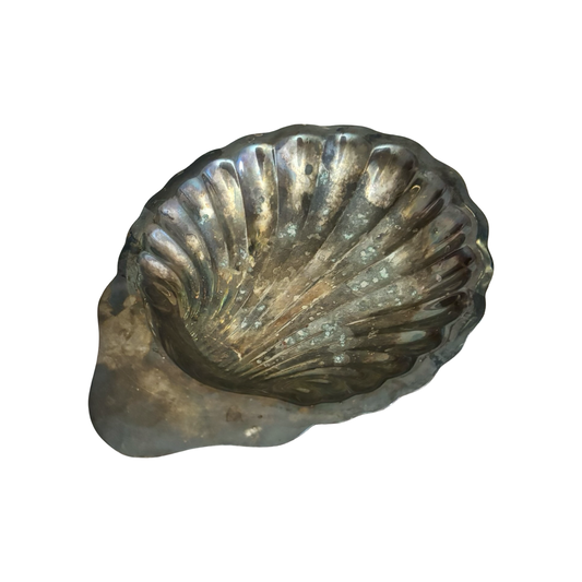 Silver Shell Dish