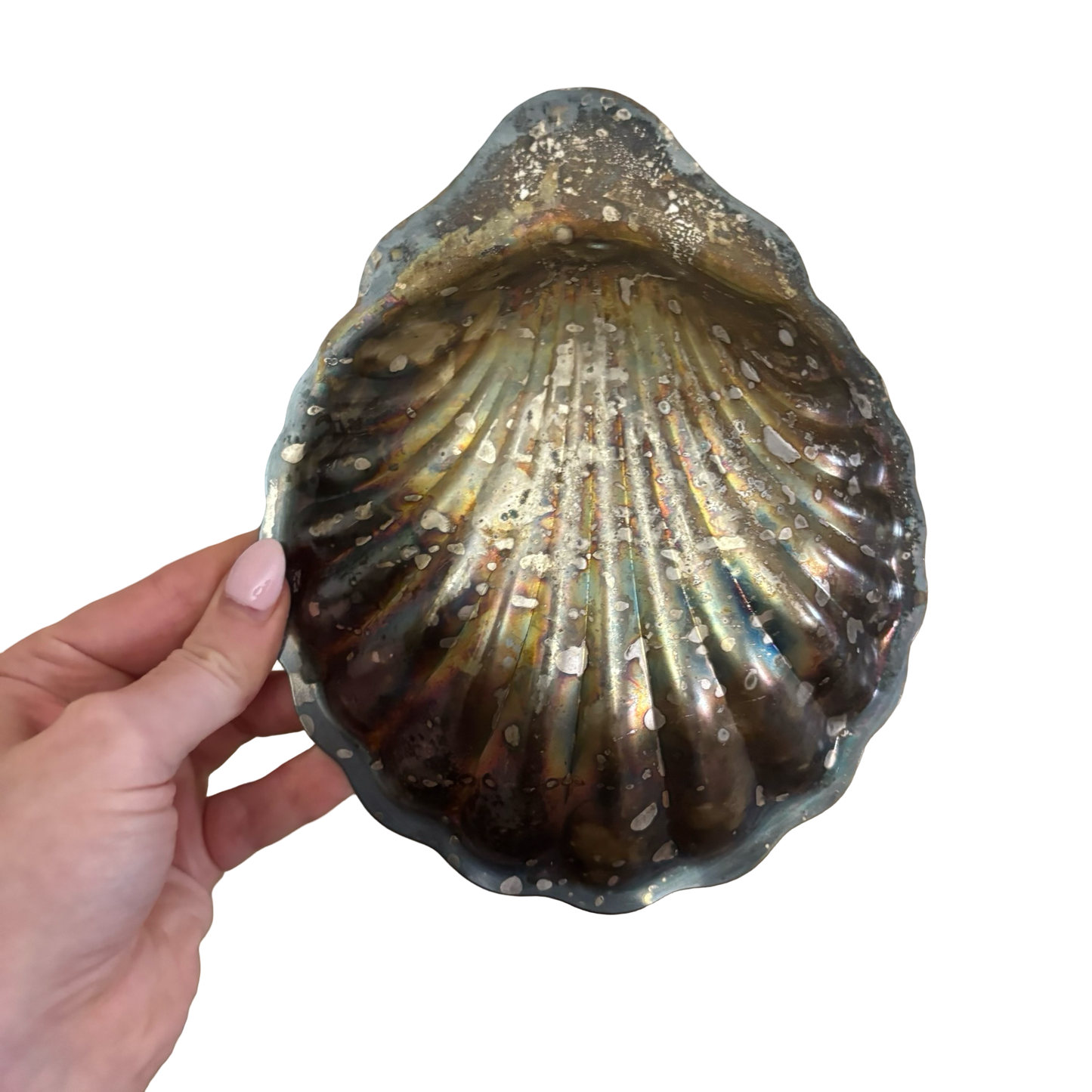 Silver Shell Dish
