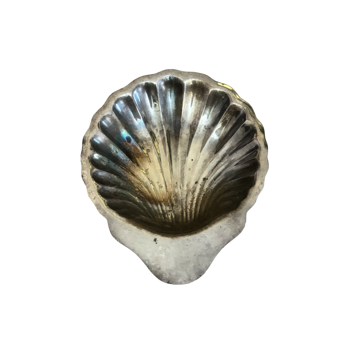 Silver Shell Dish