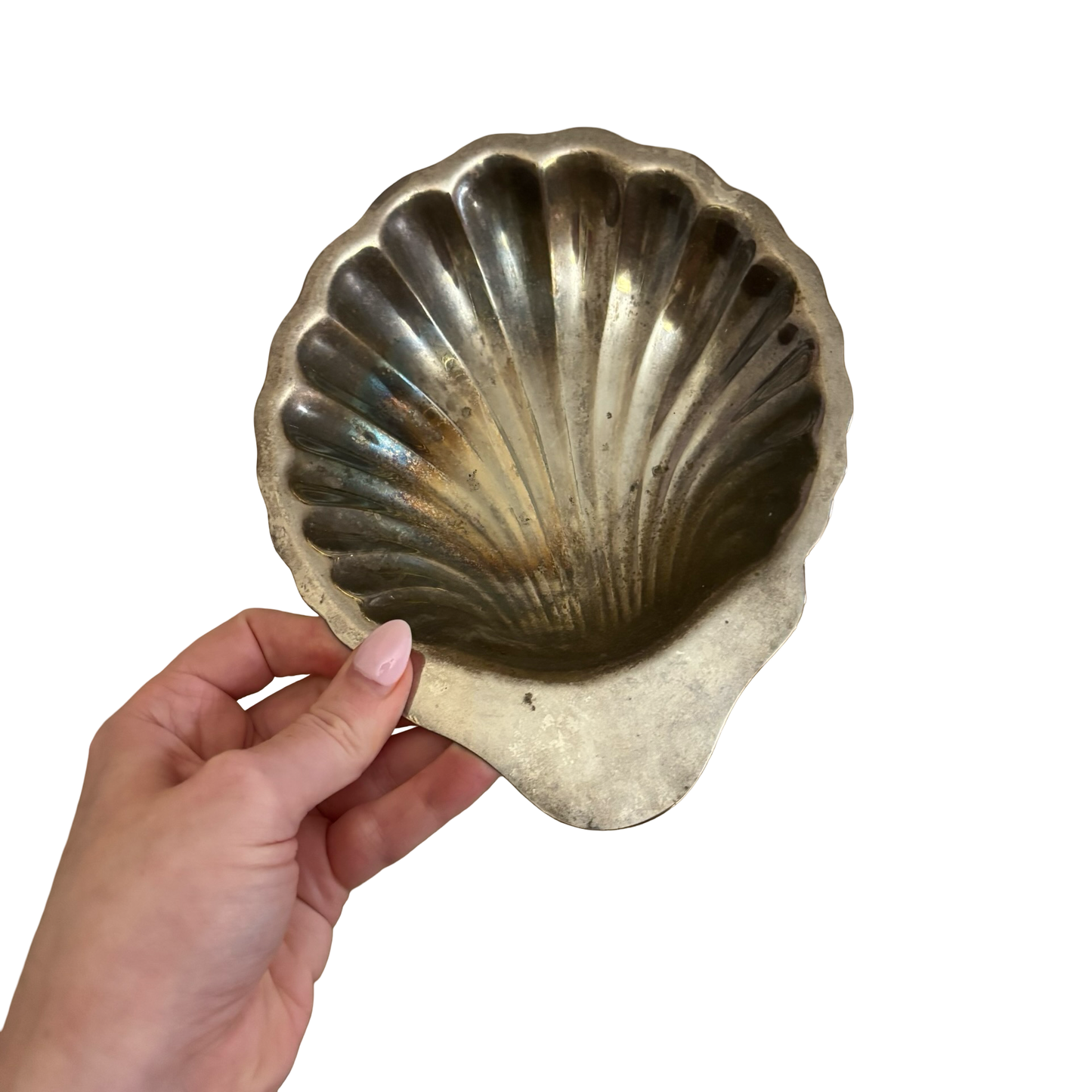 Silver Shell Dish