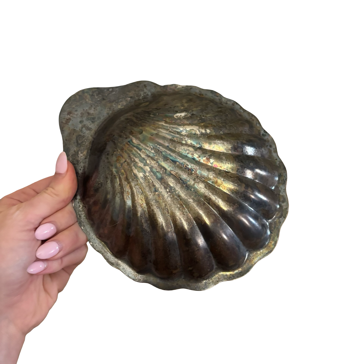 Silver Shell Dish