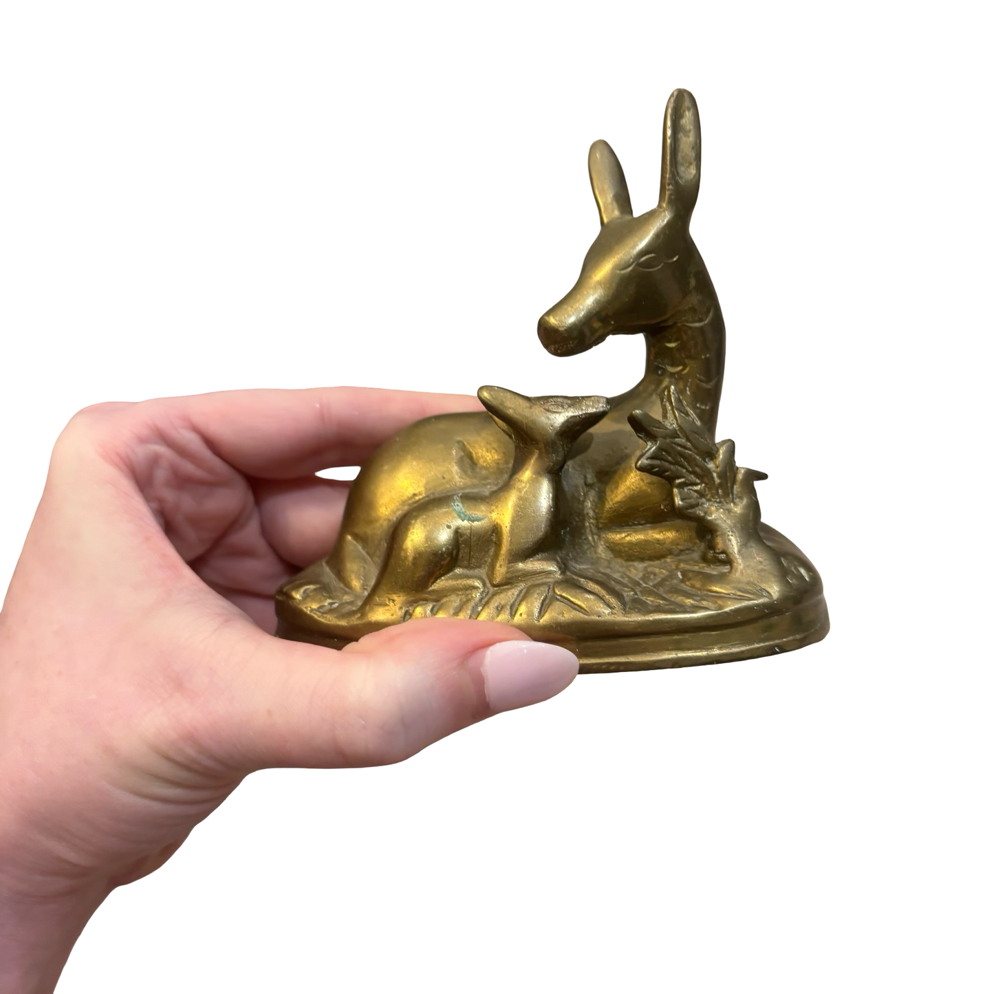 Brass Deer Family