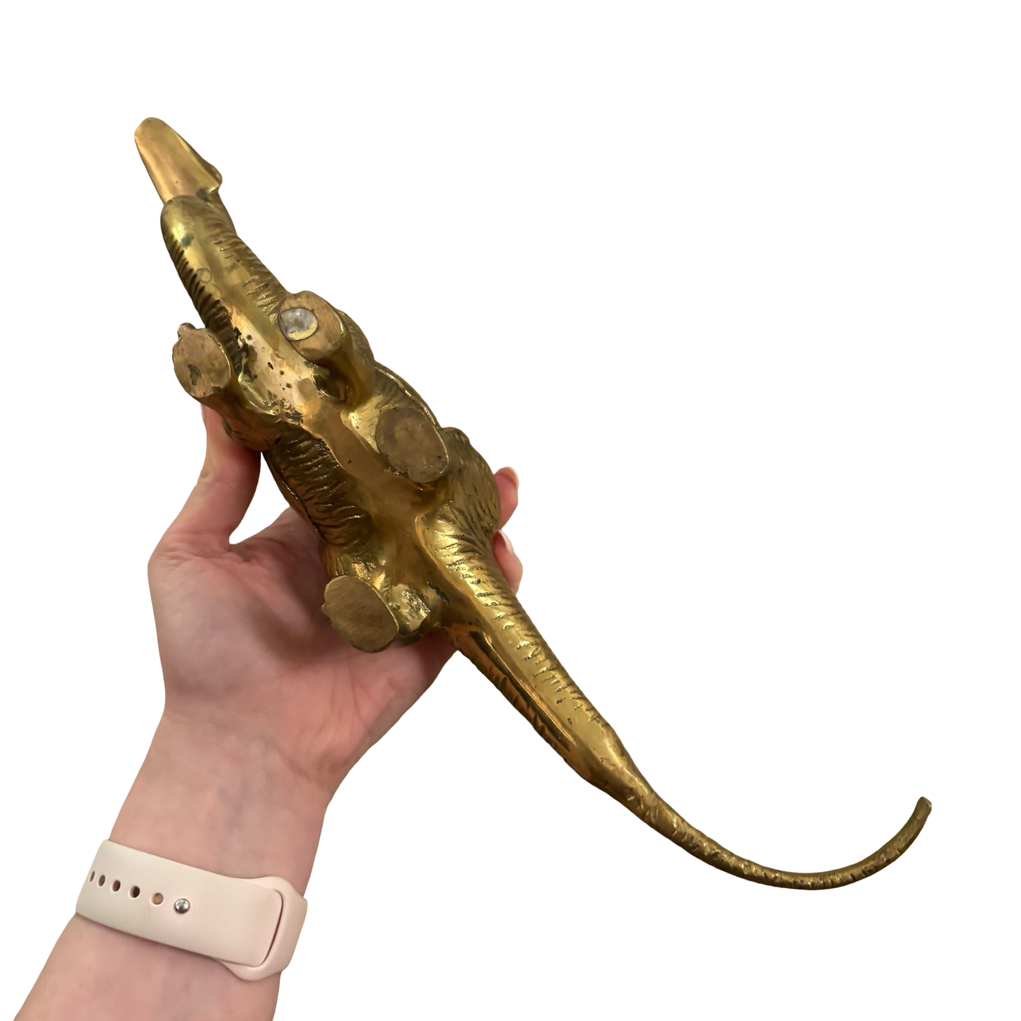 Large Brass Brontosaurus Dinosaur