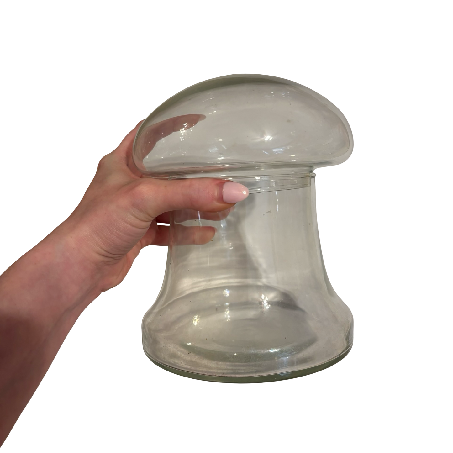 Glass Mushroom Canister