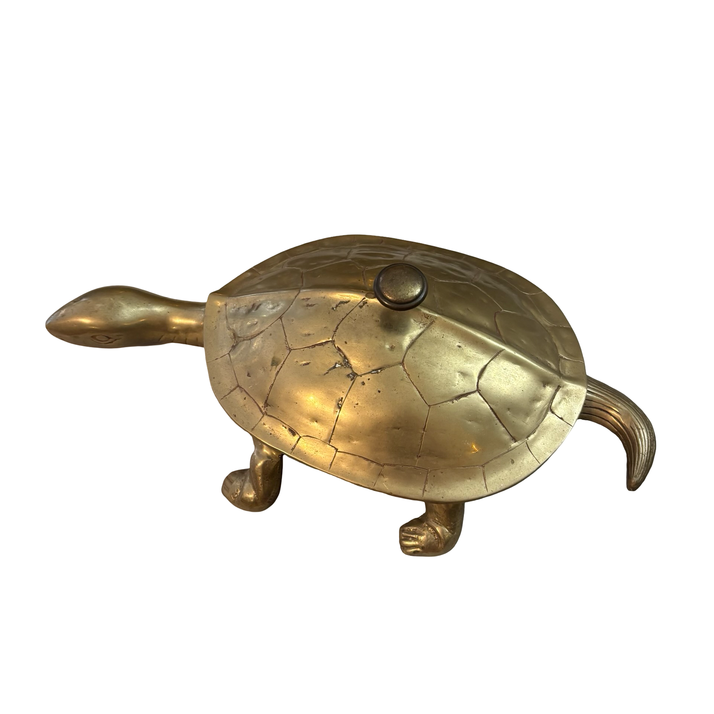 Giant Brass Tortoise/Turtle Box
