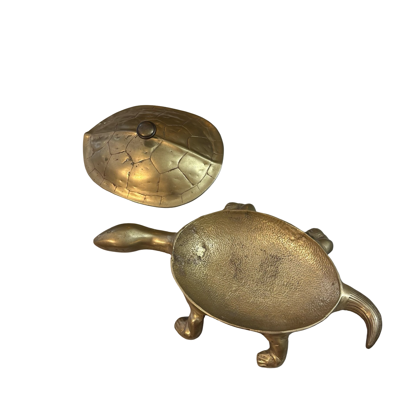 Giant Brass Tortoise/Turtle Box