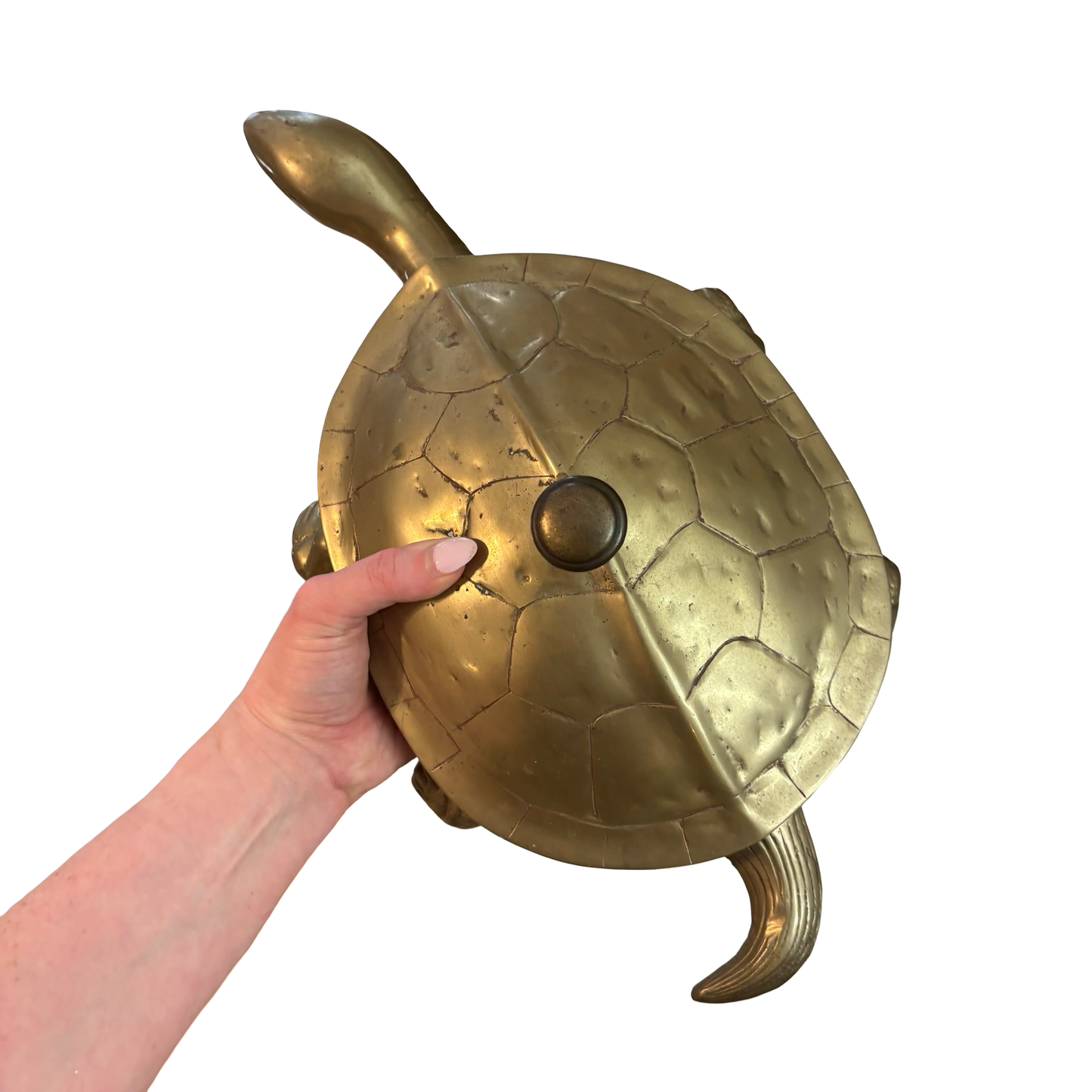 Giant Brass Tortoise/Turtle Box