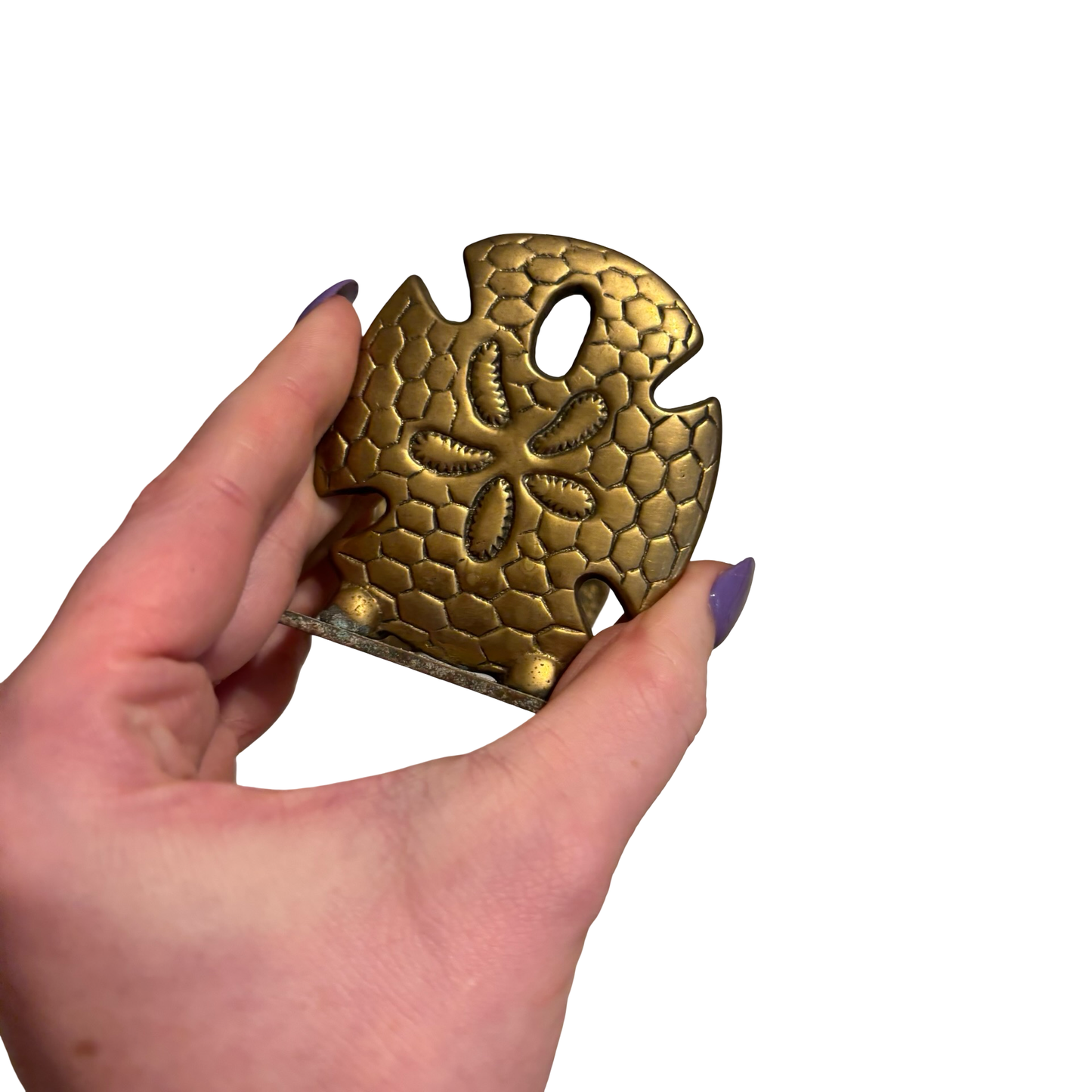 Brass Sand Dollar Business Card Holder