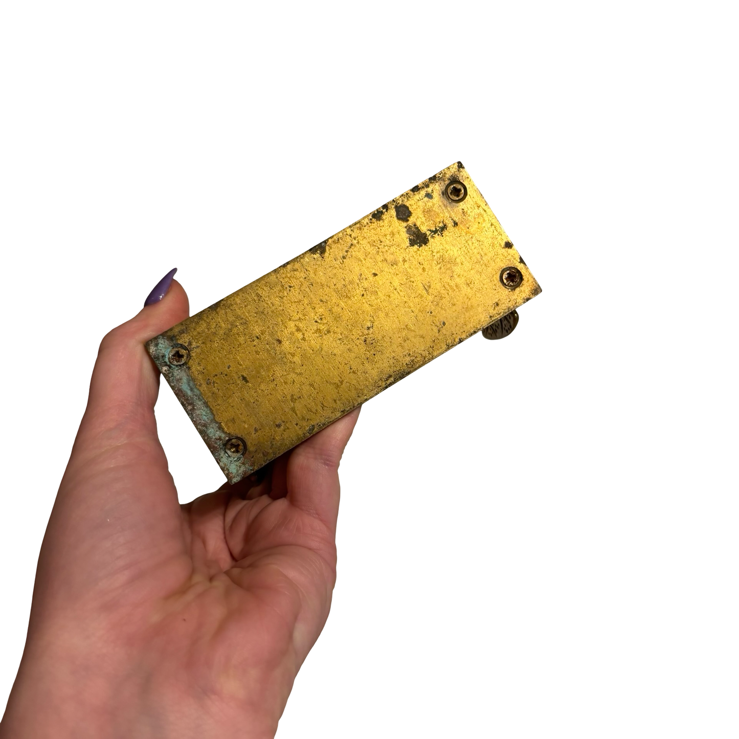 Brass Sand Dollar Business Card Holder