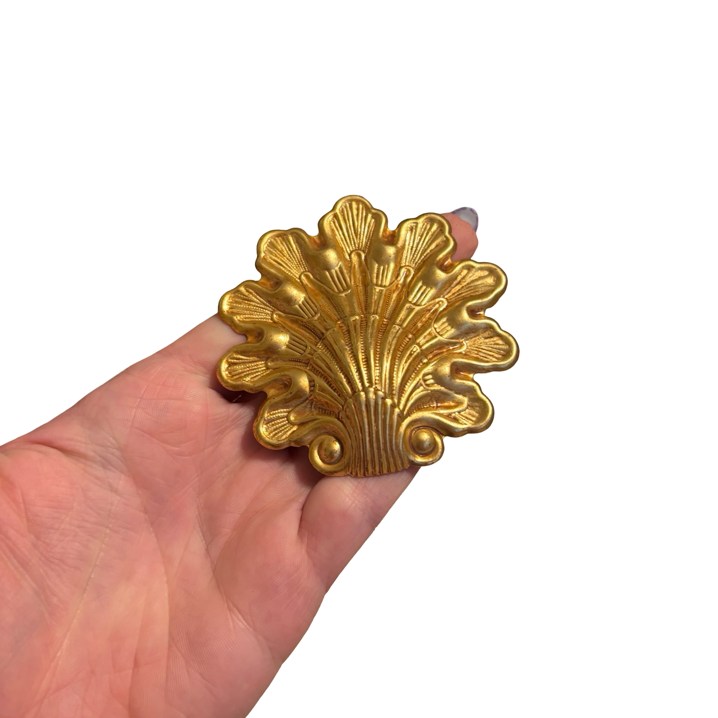 Gold Shell Accents