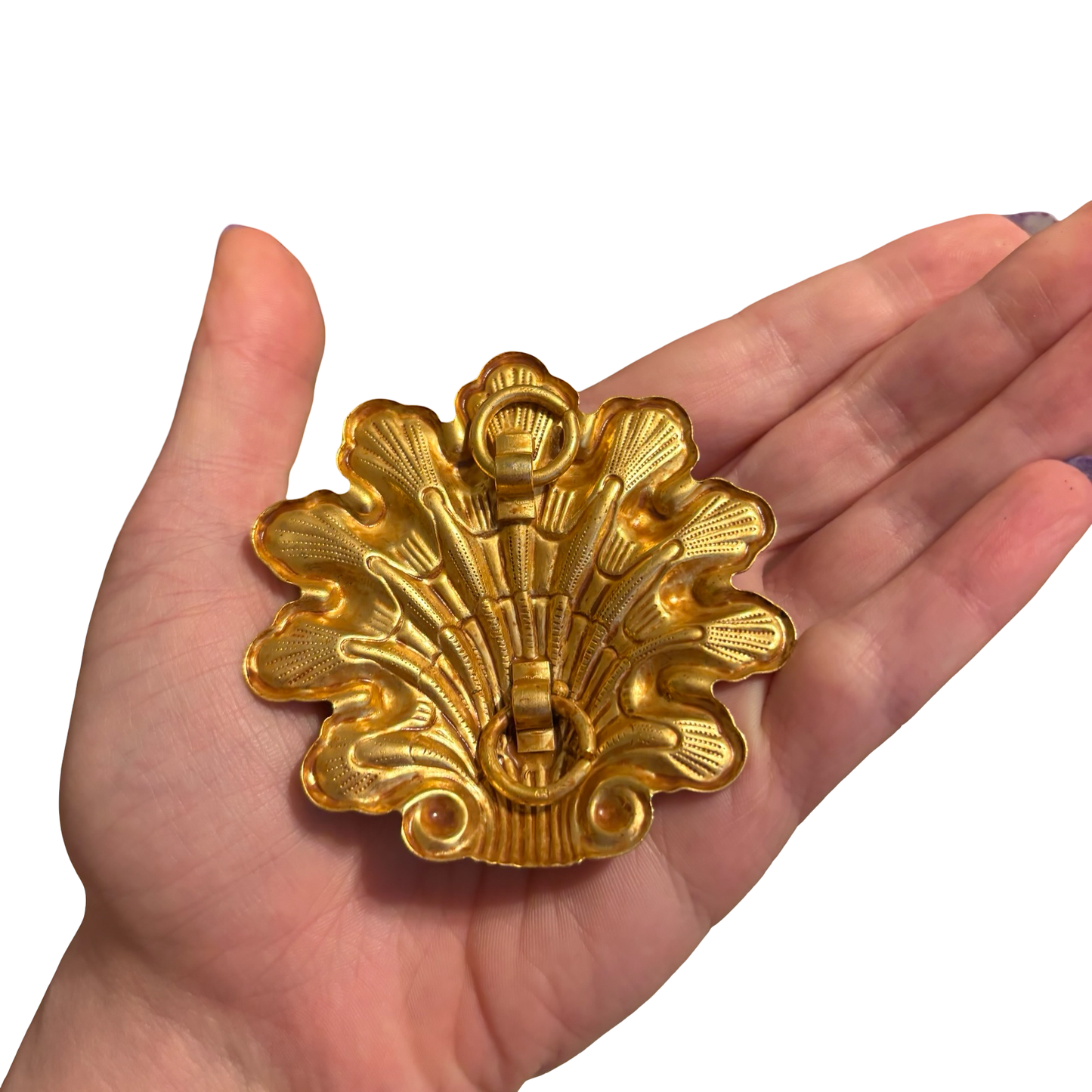 Gold Shell Accents