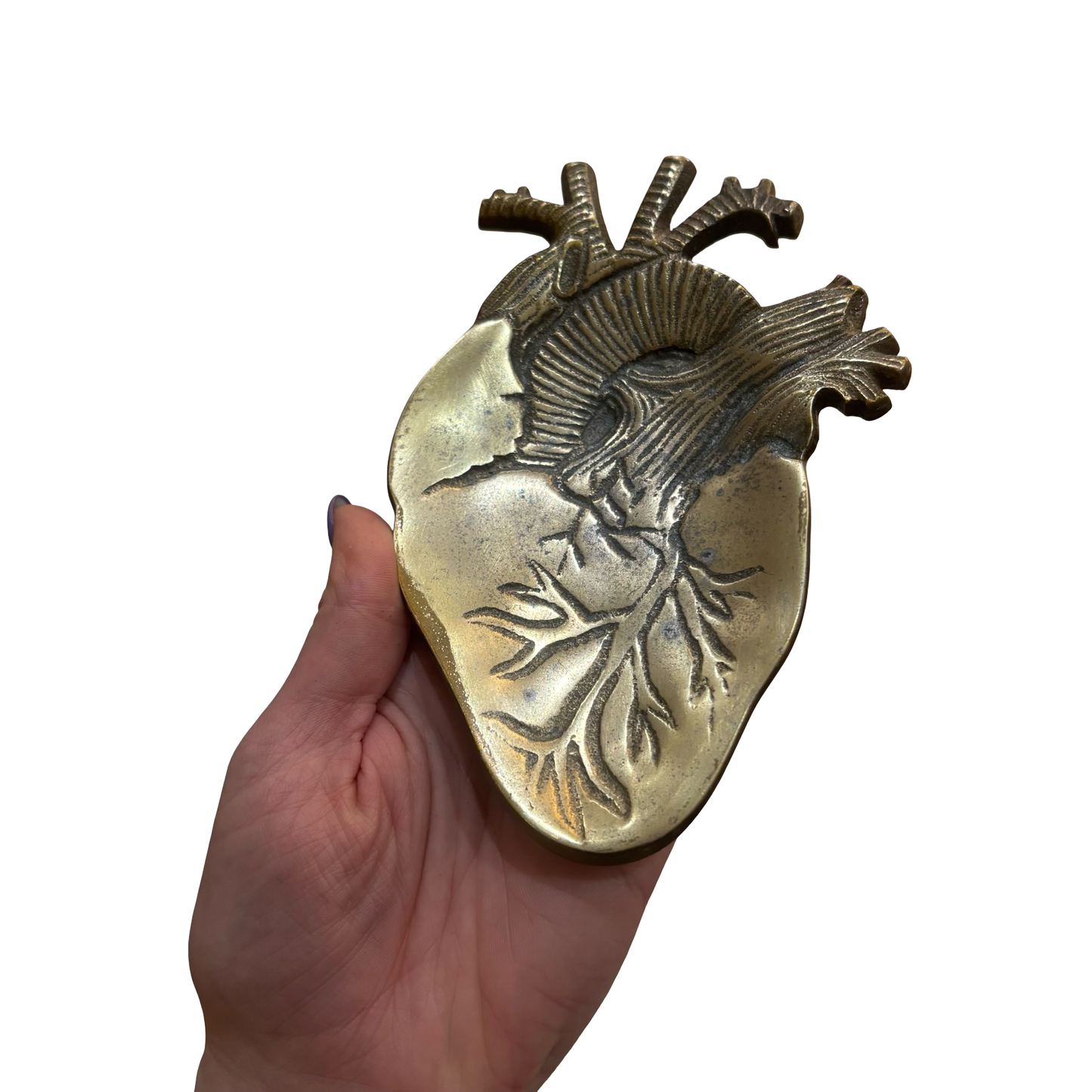 Brass Anatomical Heart Dish