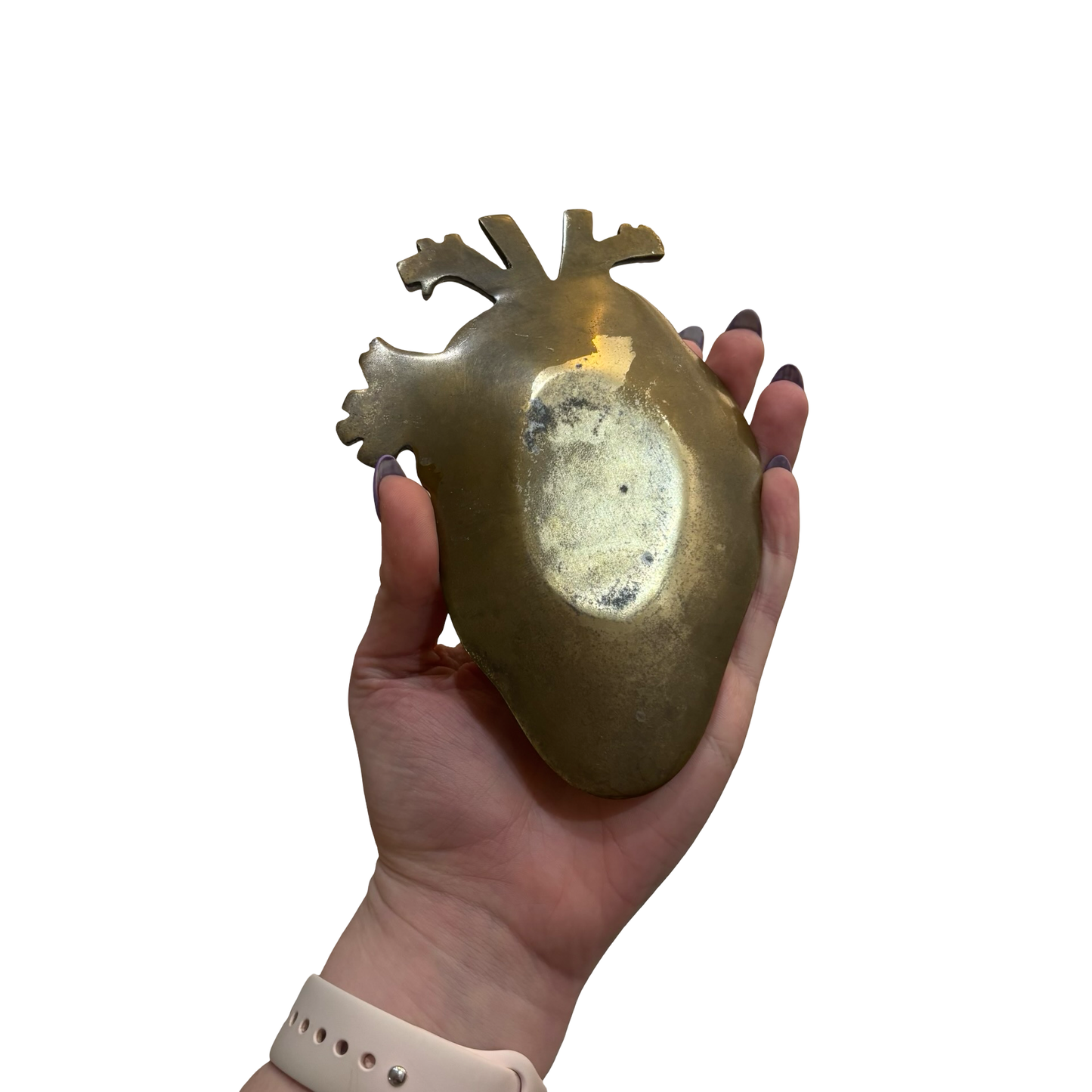 Brass Anatomical Heart Dish