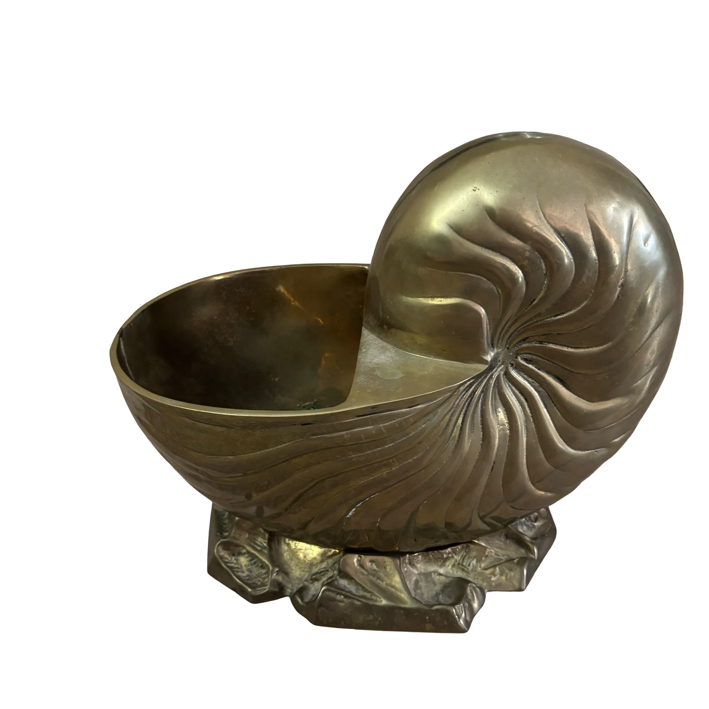 Huge Brass Nautilus Shell Planter