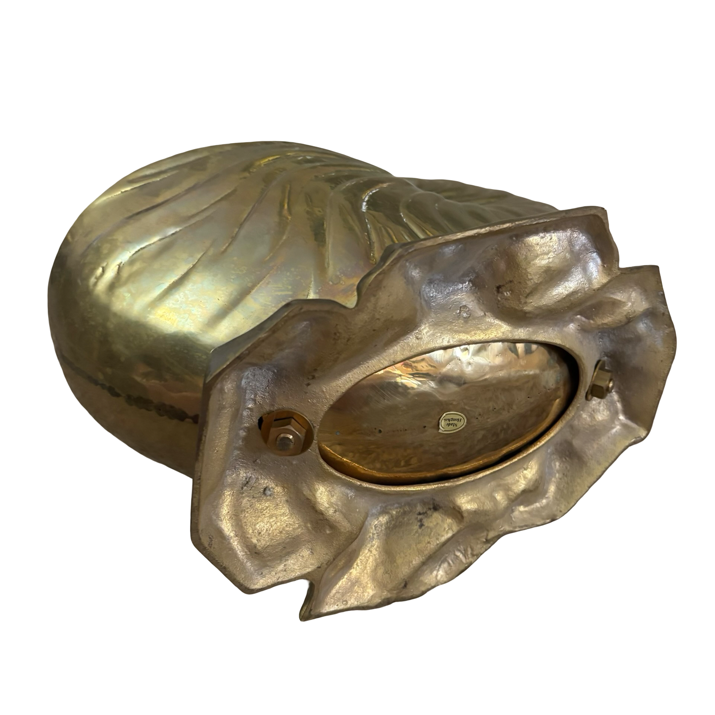 Huge Brass Nautilus Shell Planter