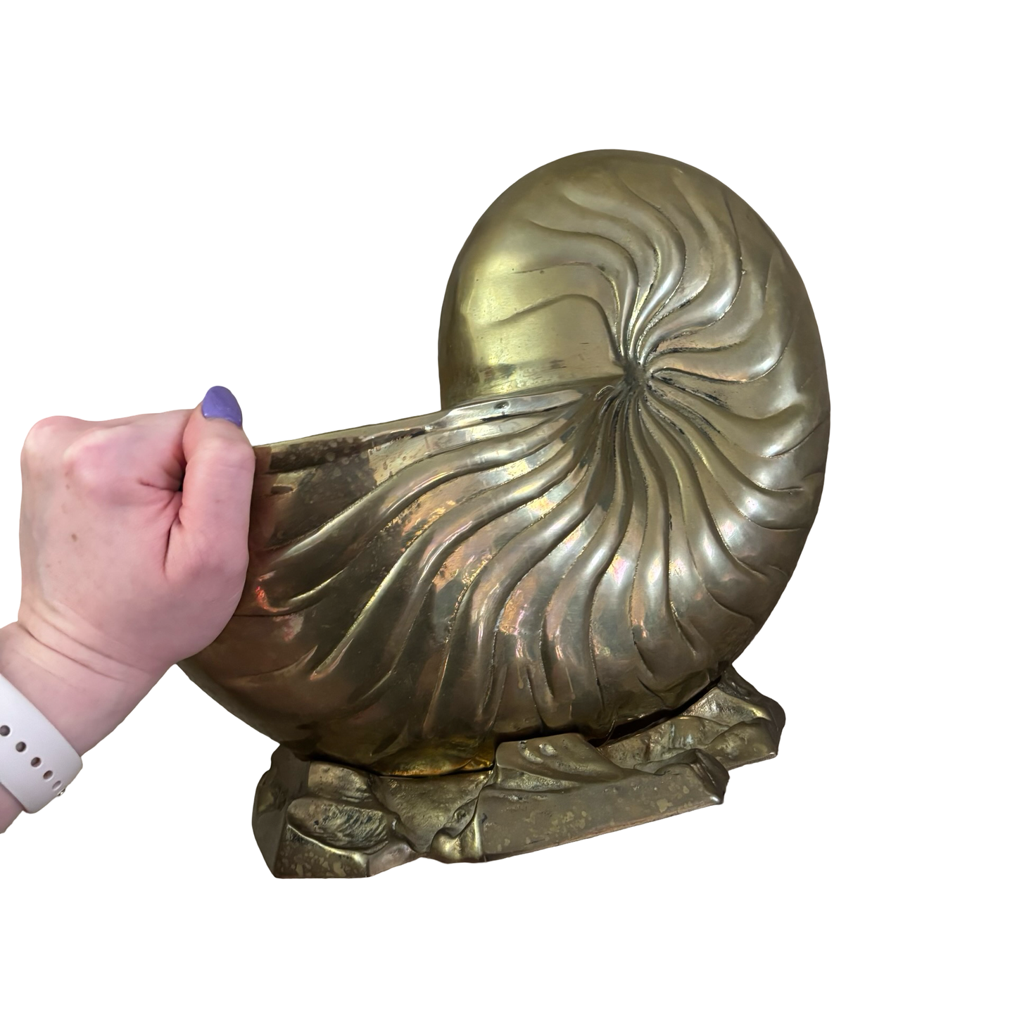 Huge Brass Nautilus Shell Planter
