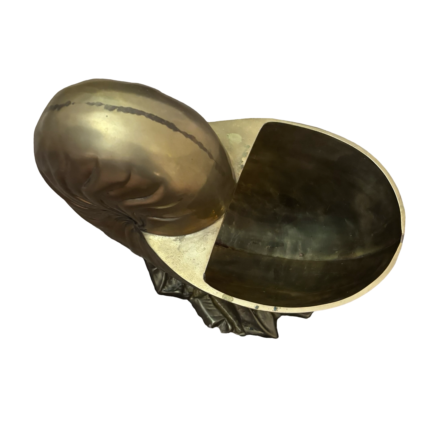 Huge Brass Nautilus Shell Planter