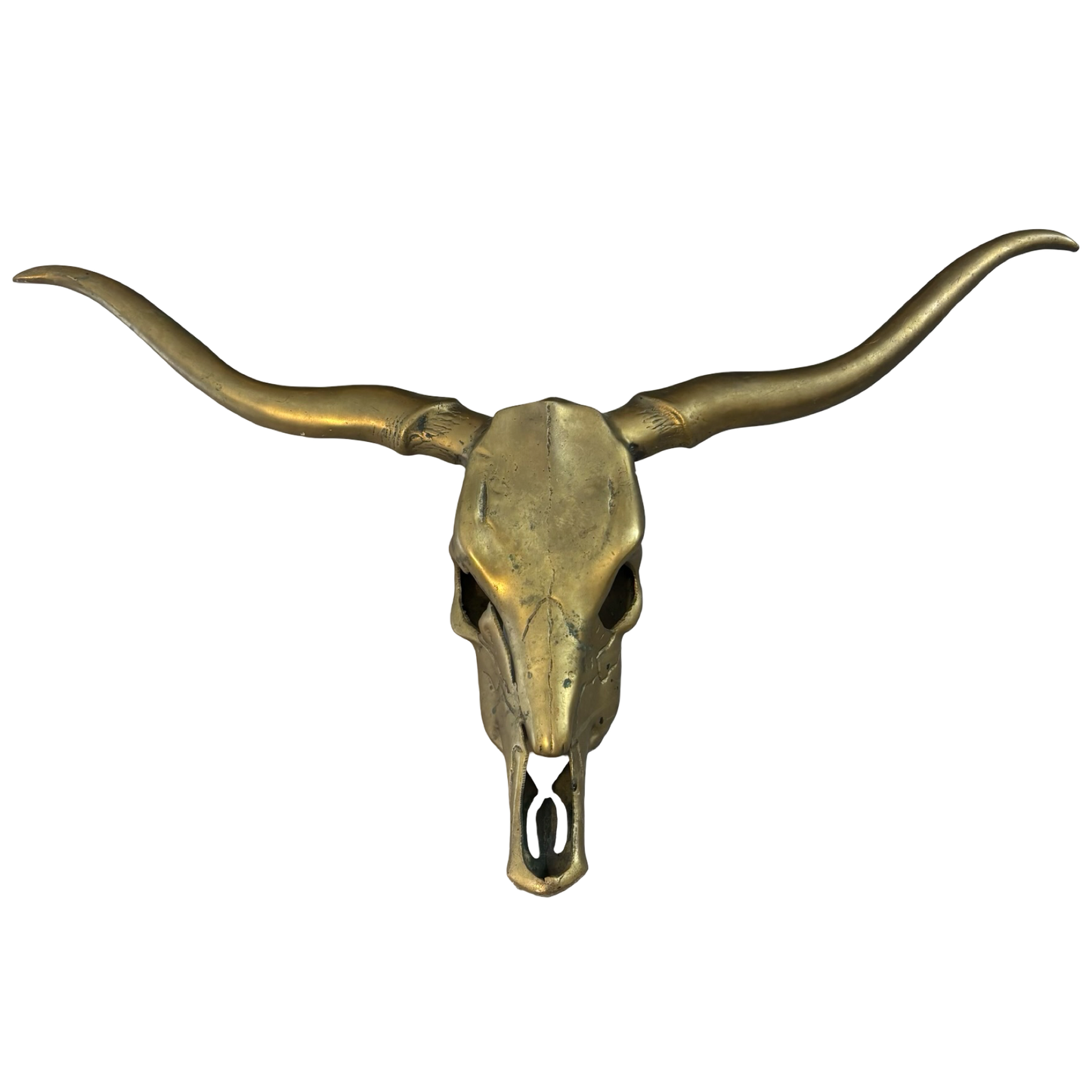 Massive Brass Longhorn Skull