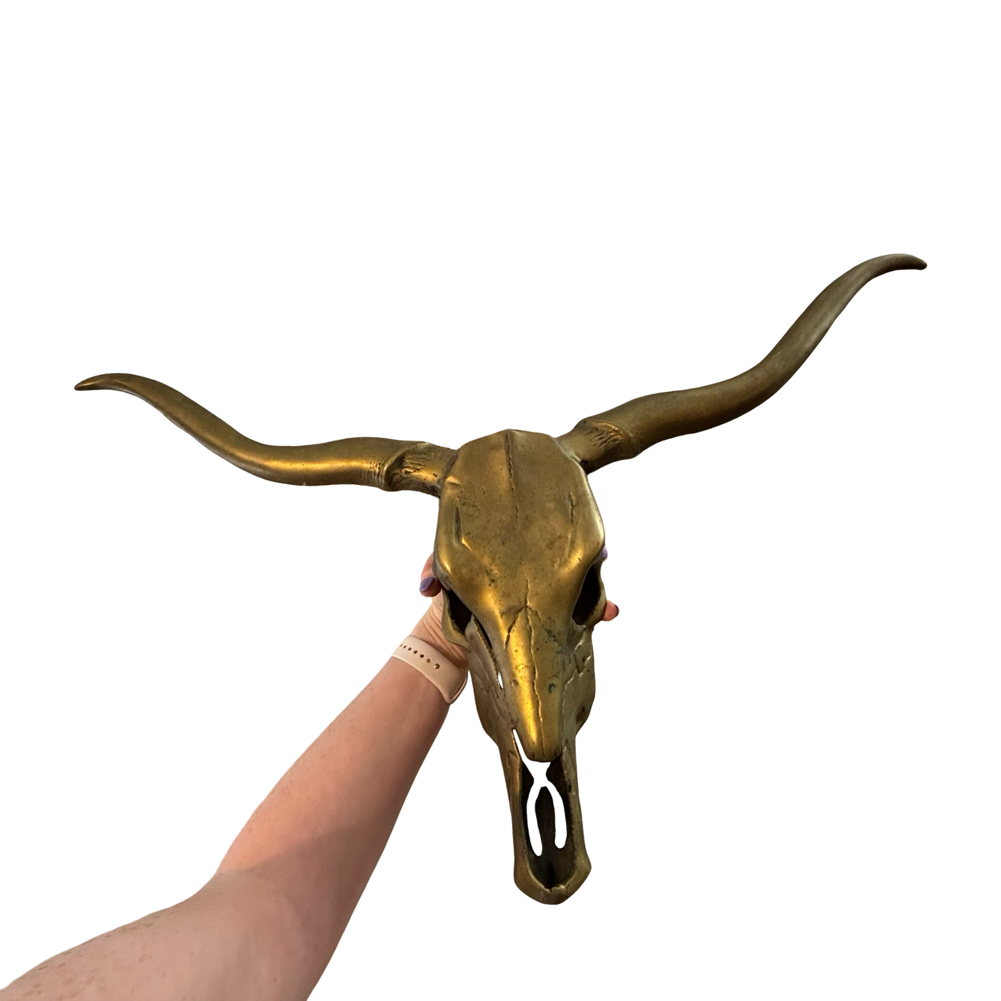 Massive Brass Longhorn Skull