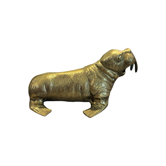 Brass Walrus