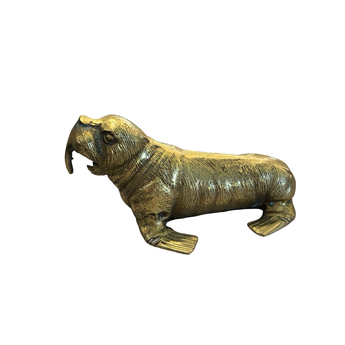 Brass Walrus