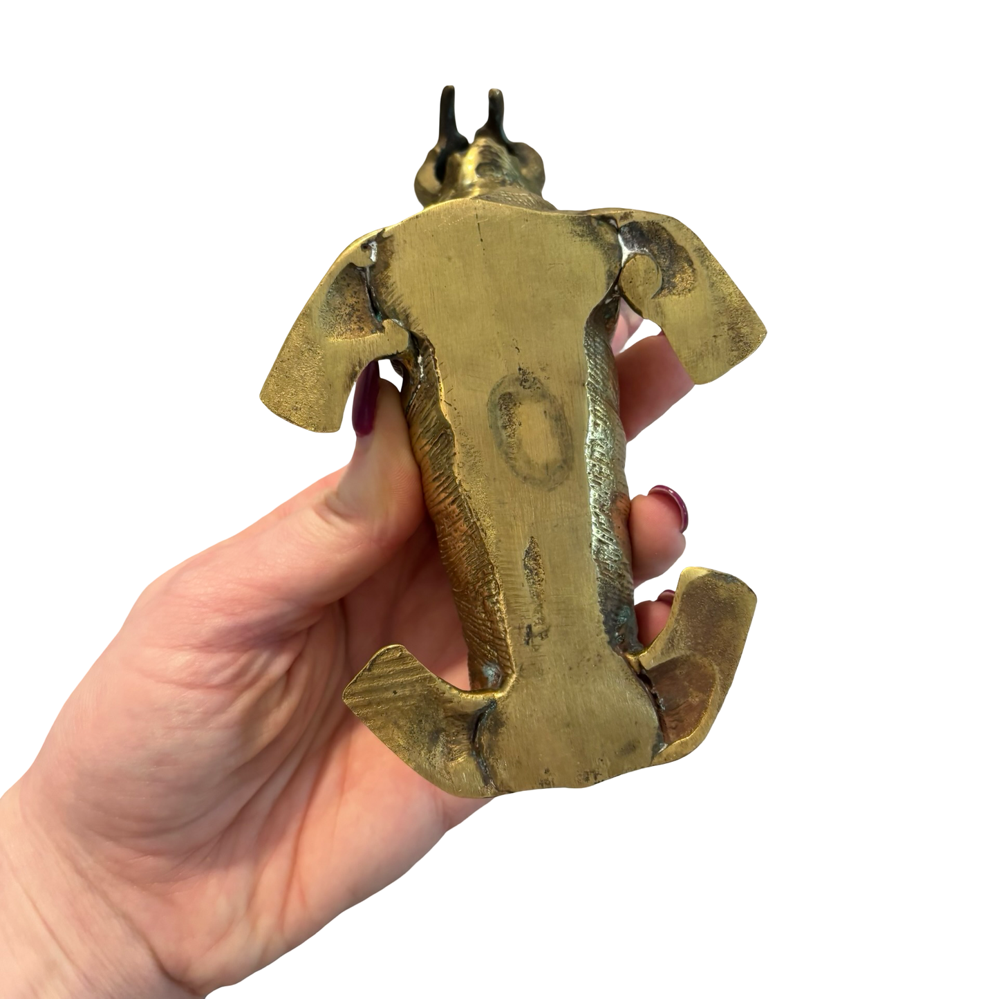 Brass Walrus