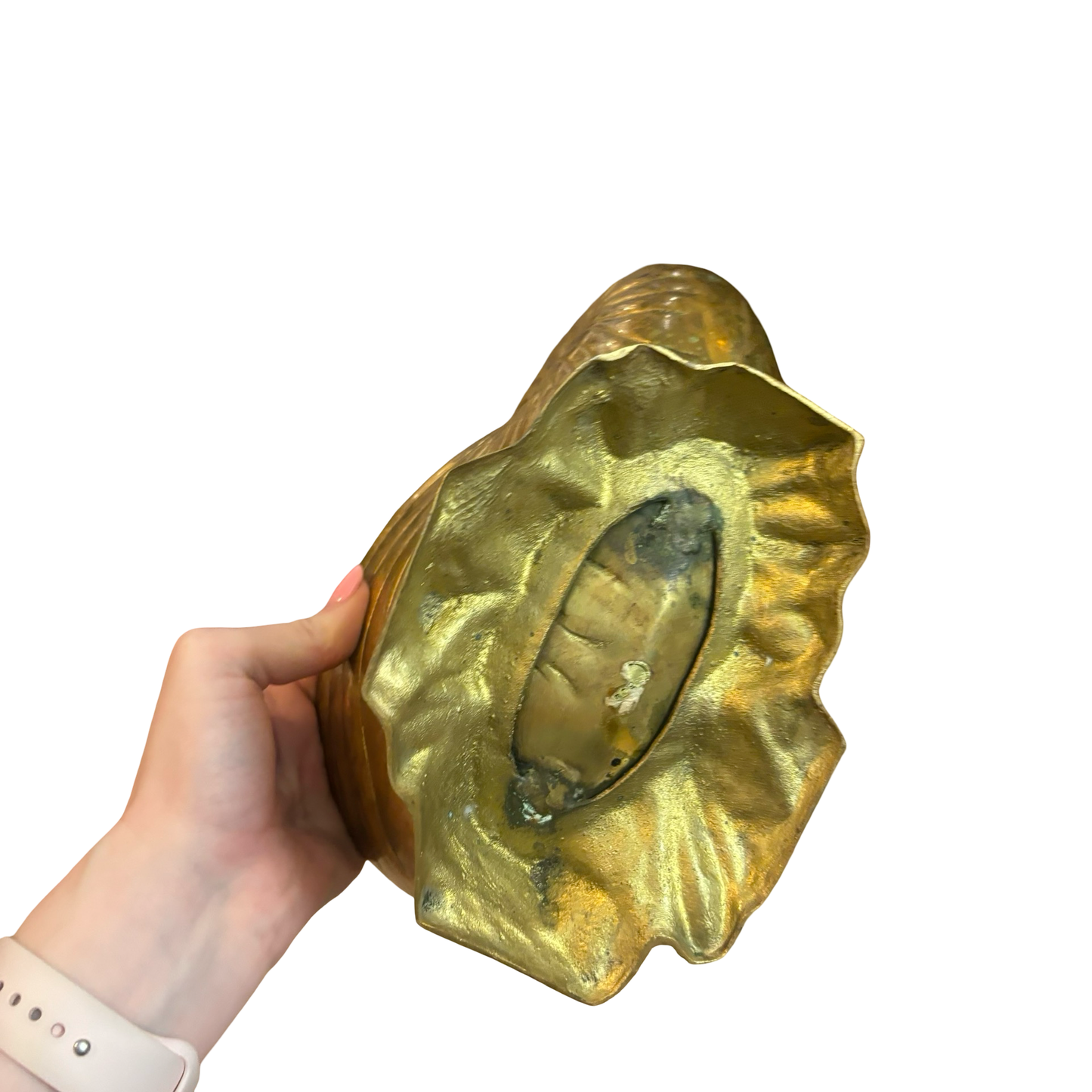 Brass Nautilus Planter
