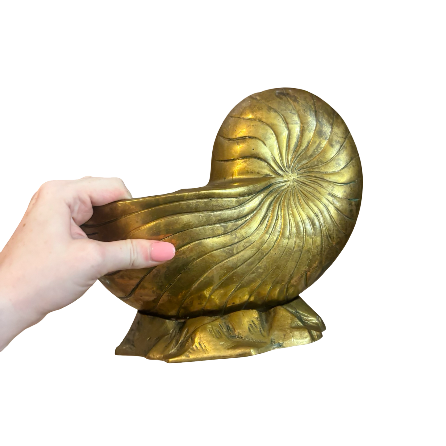 Brass Nautilus Planter