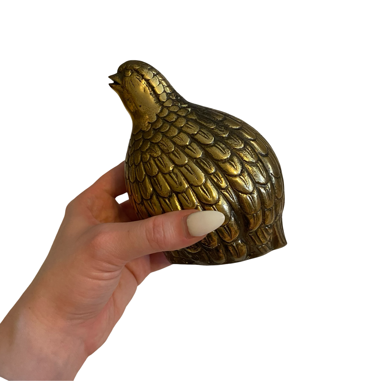 Brass Quail