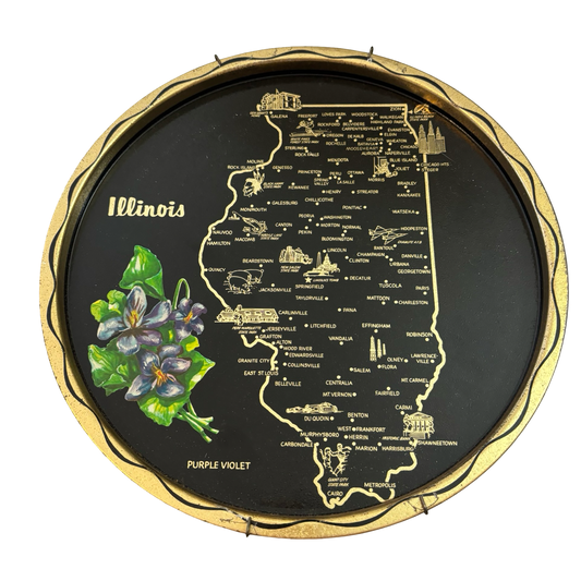 Illinois State Plate