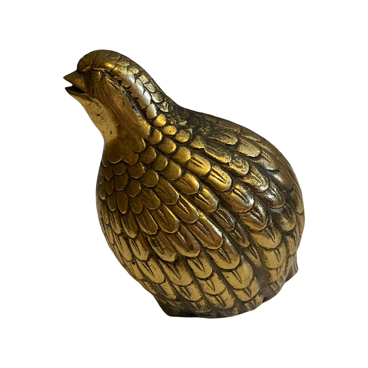 Brass Quail