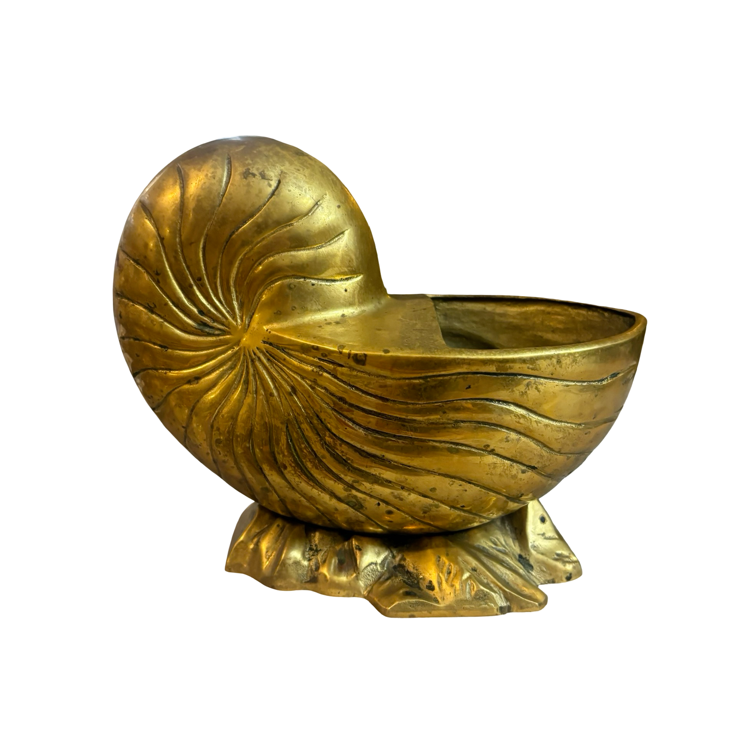 Brass Nautilus Planter