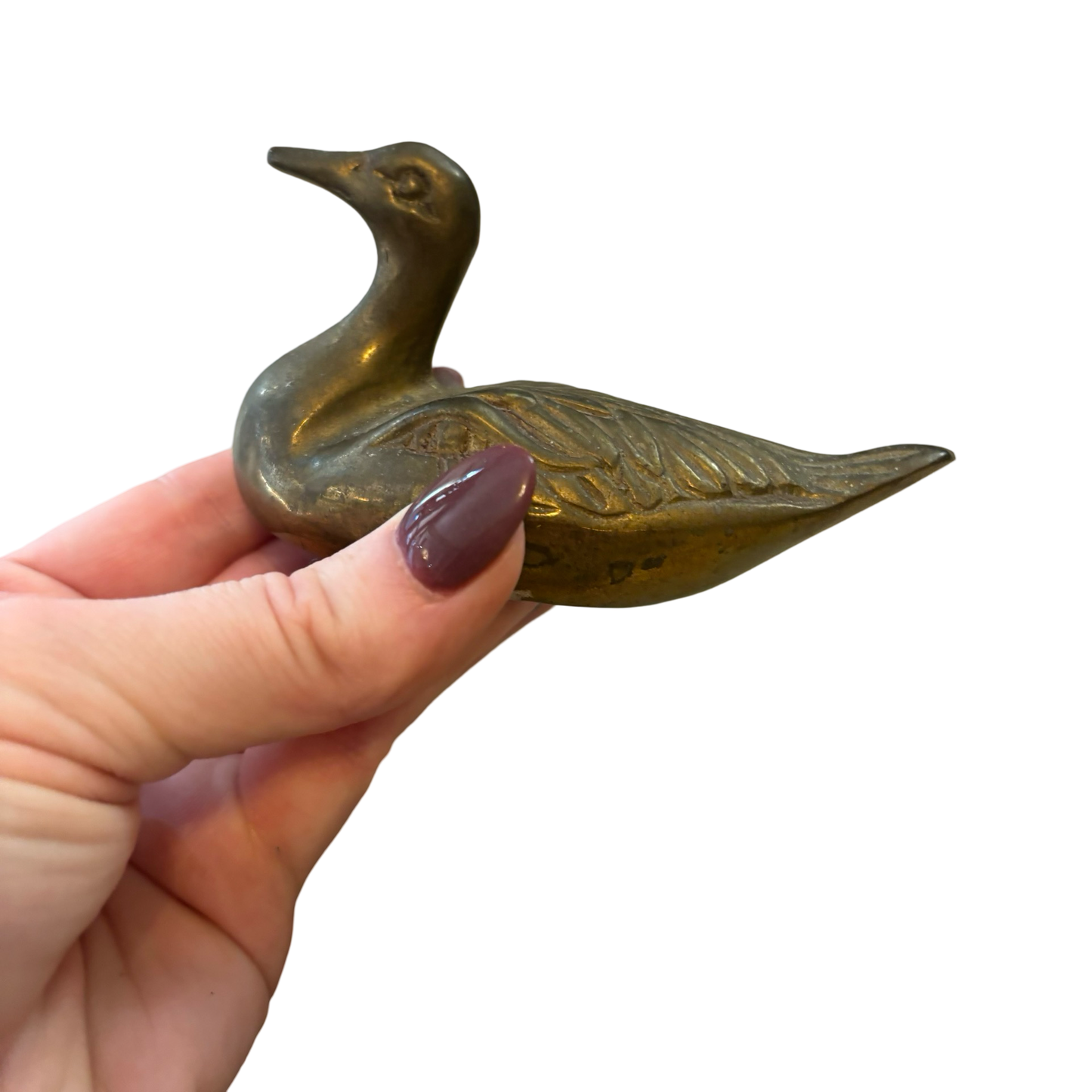 Brass Duck