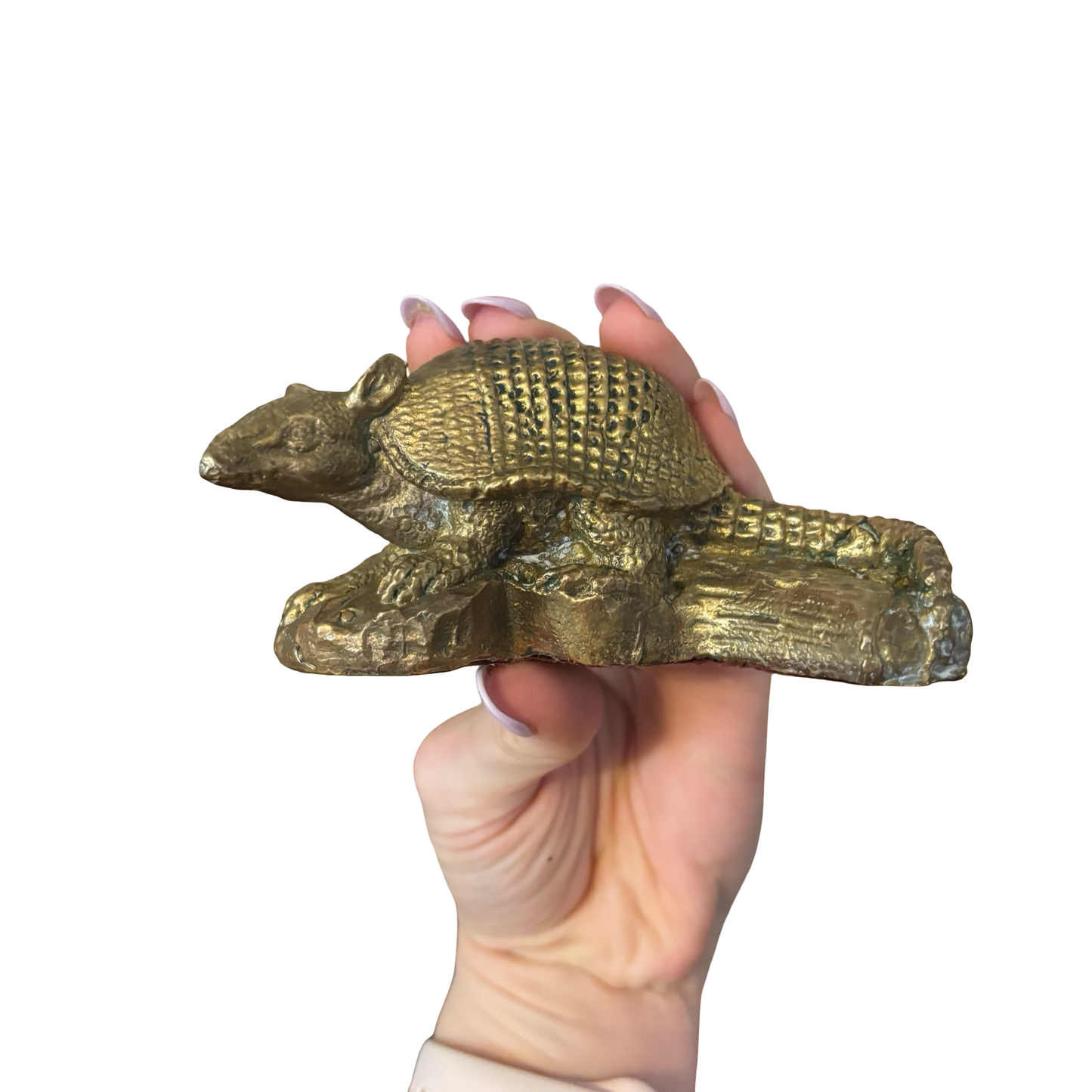 Brass Armadillo