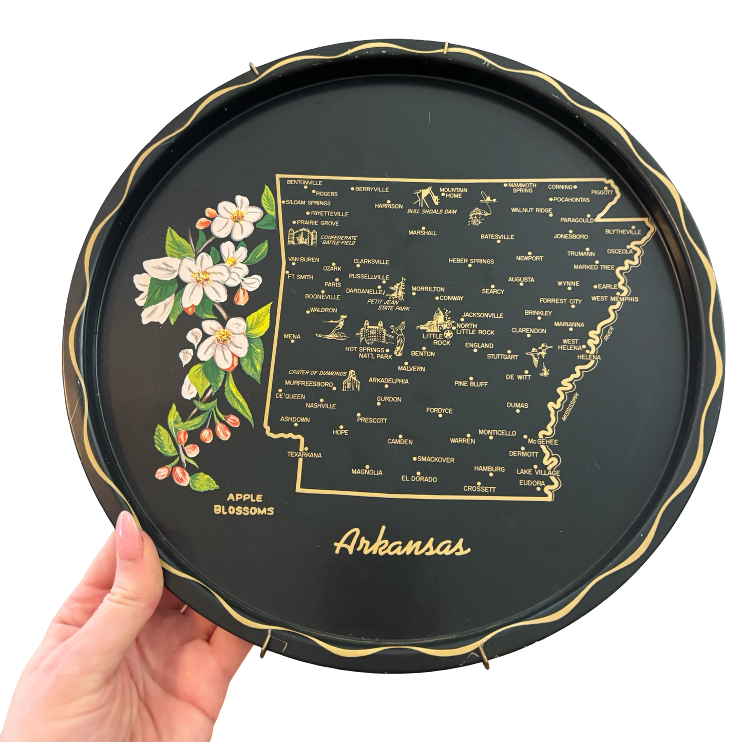 Arkansas State Plate