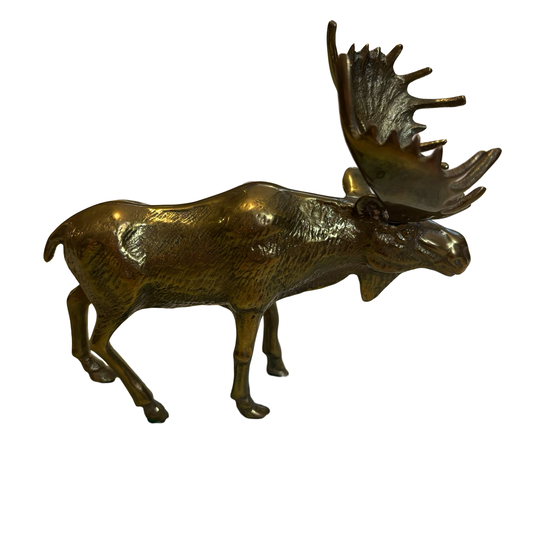 Brass Moose