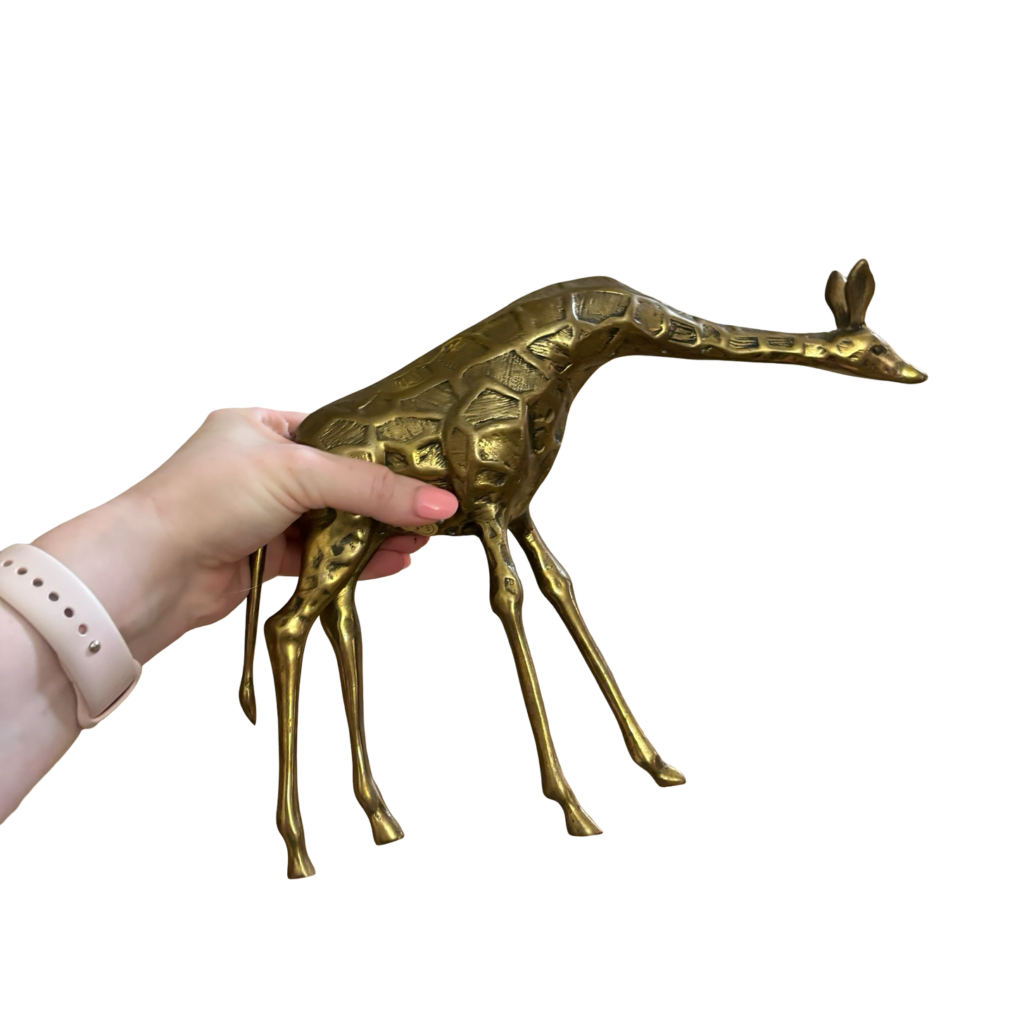 Brass Giraffe