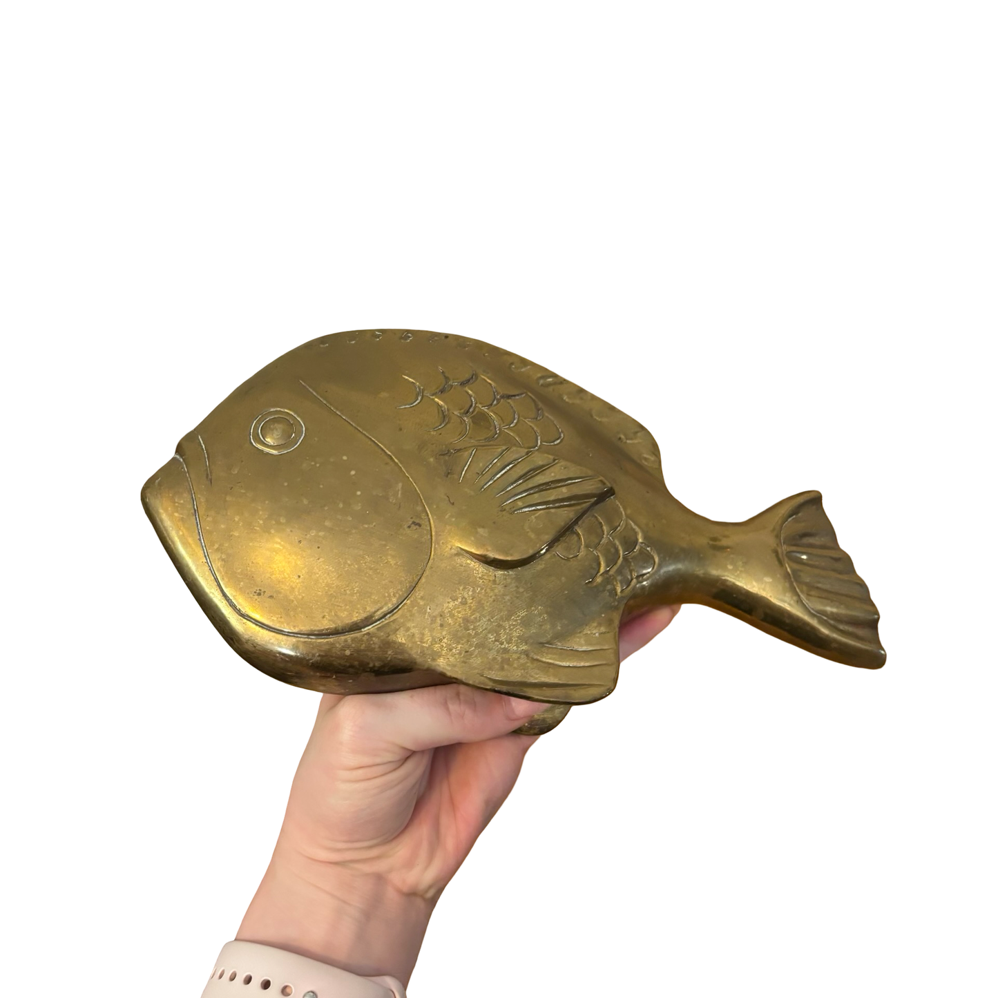 Large Brass Fish