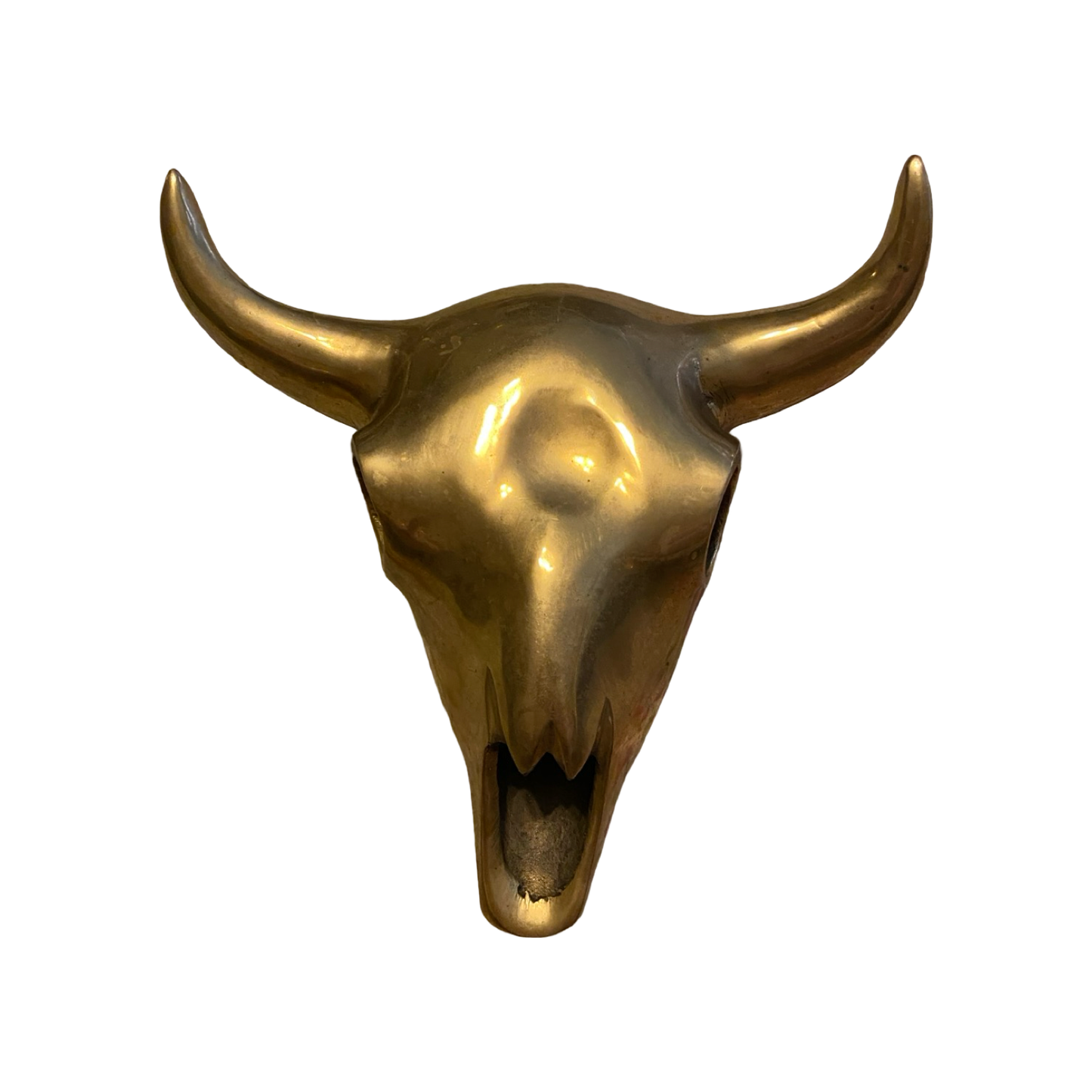 Brass Longhorn Skull