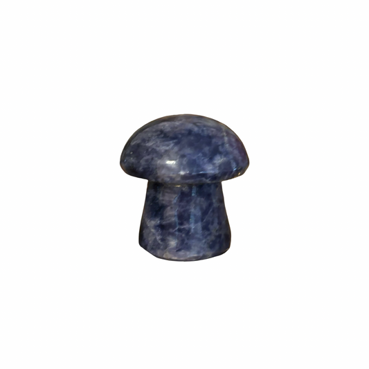 Blue Stone Mushroom