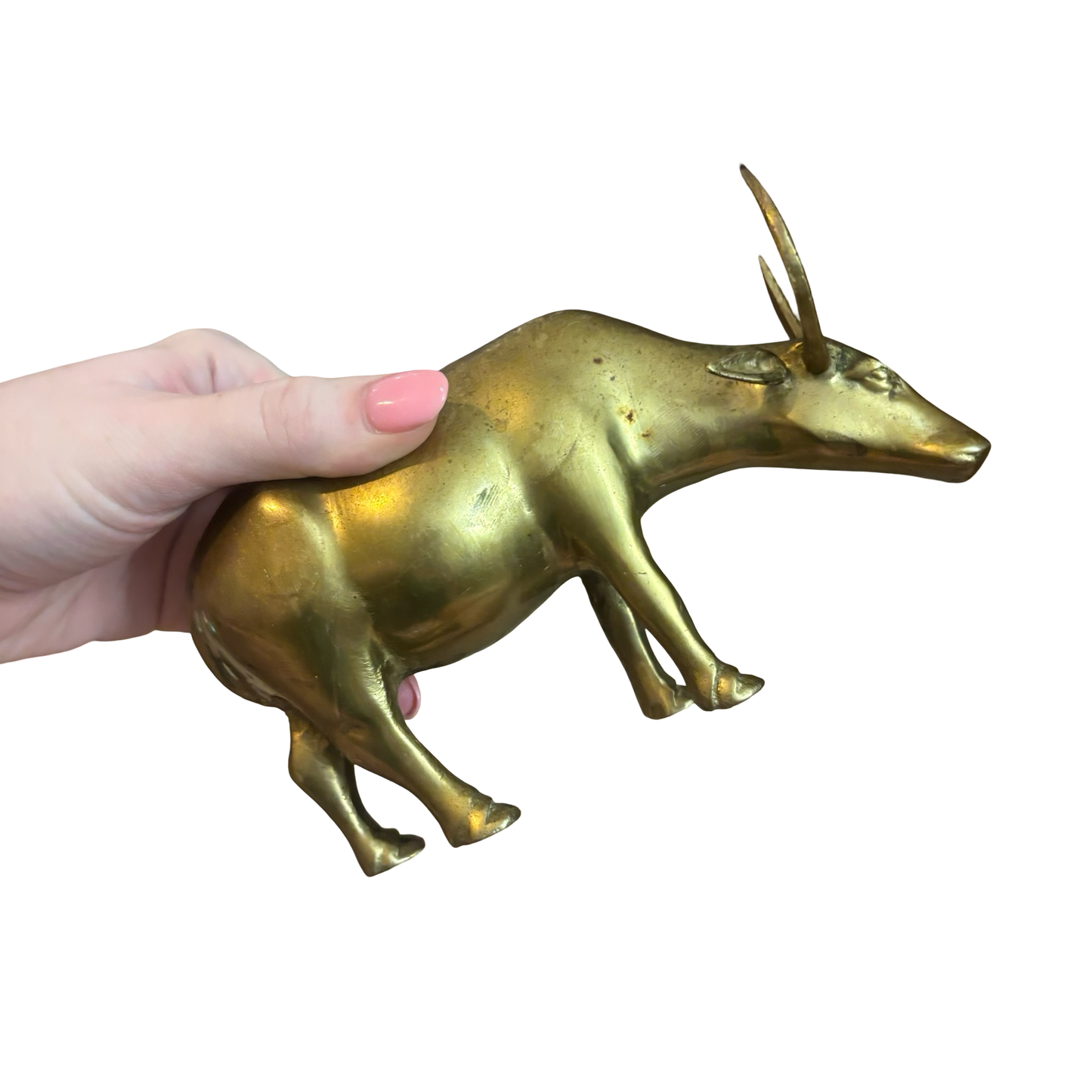 Brass Ox