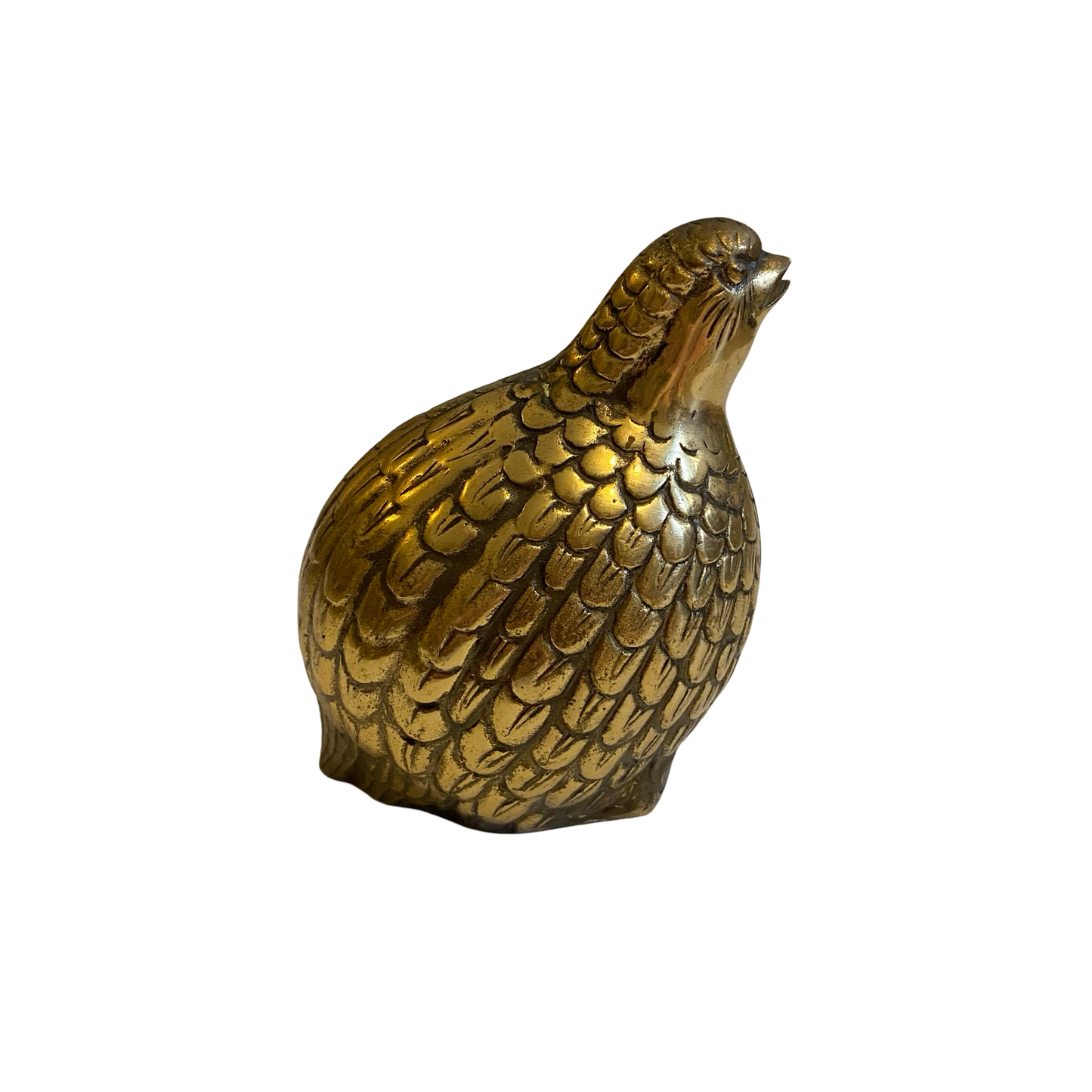 Brass Quail