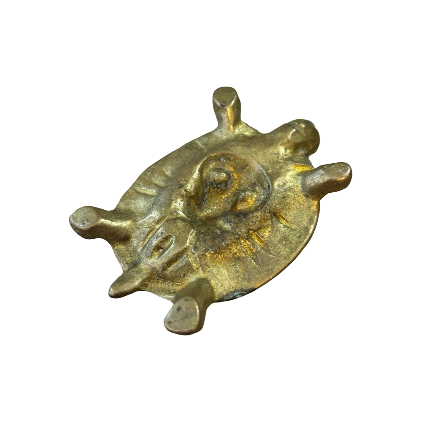 Naughty Brass Lady Turtle