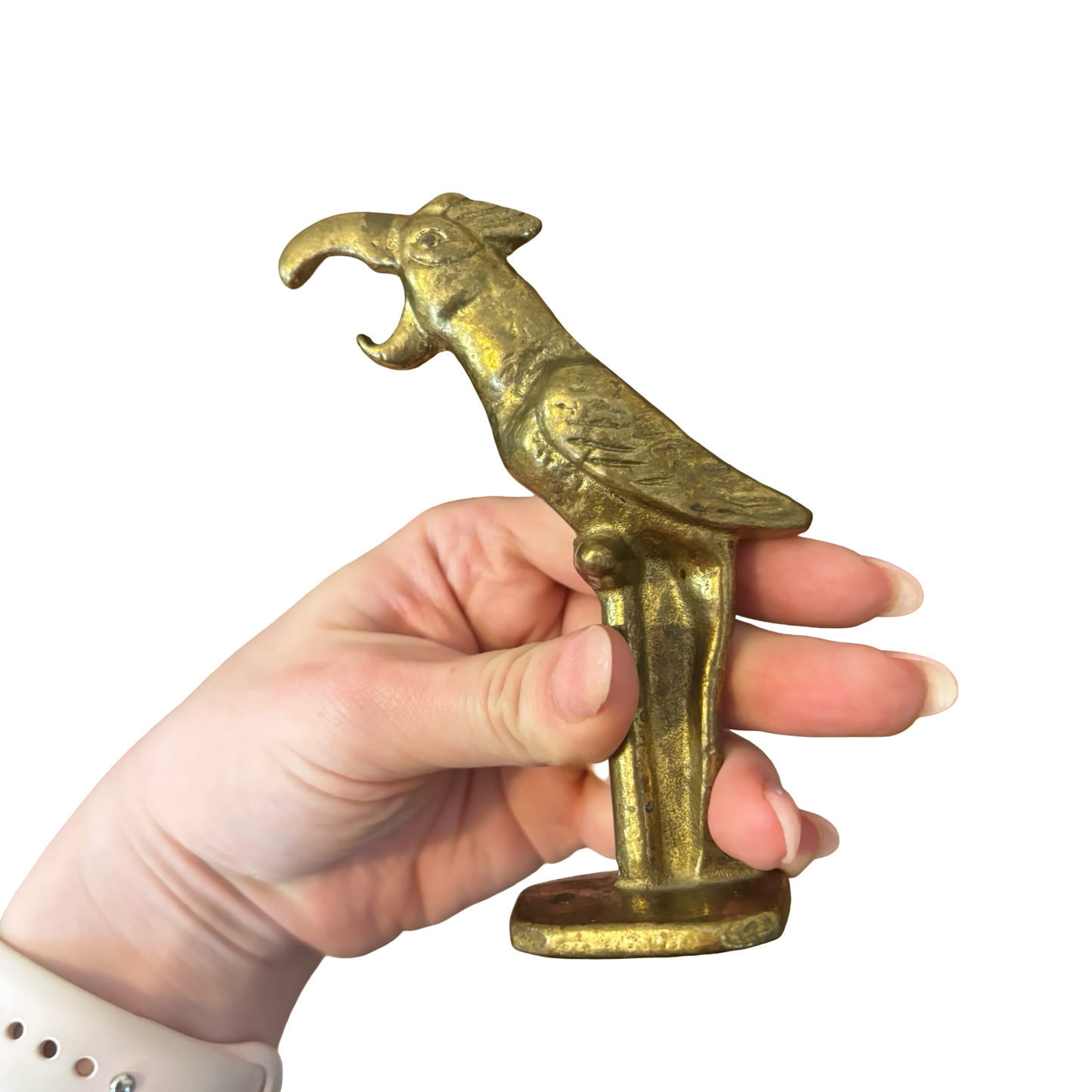 Brass Parrot Bird Bottle Opener