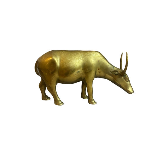 Brass Ox