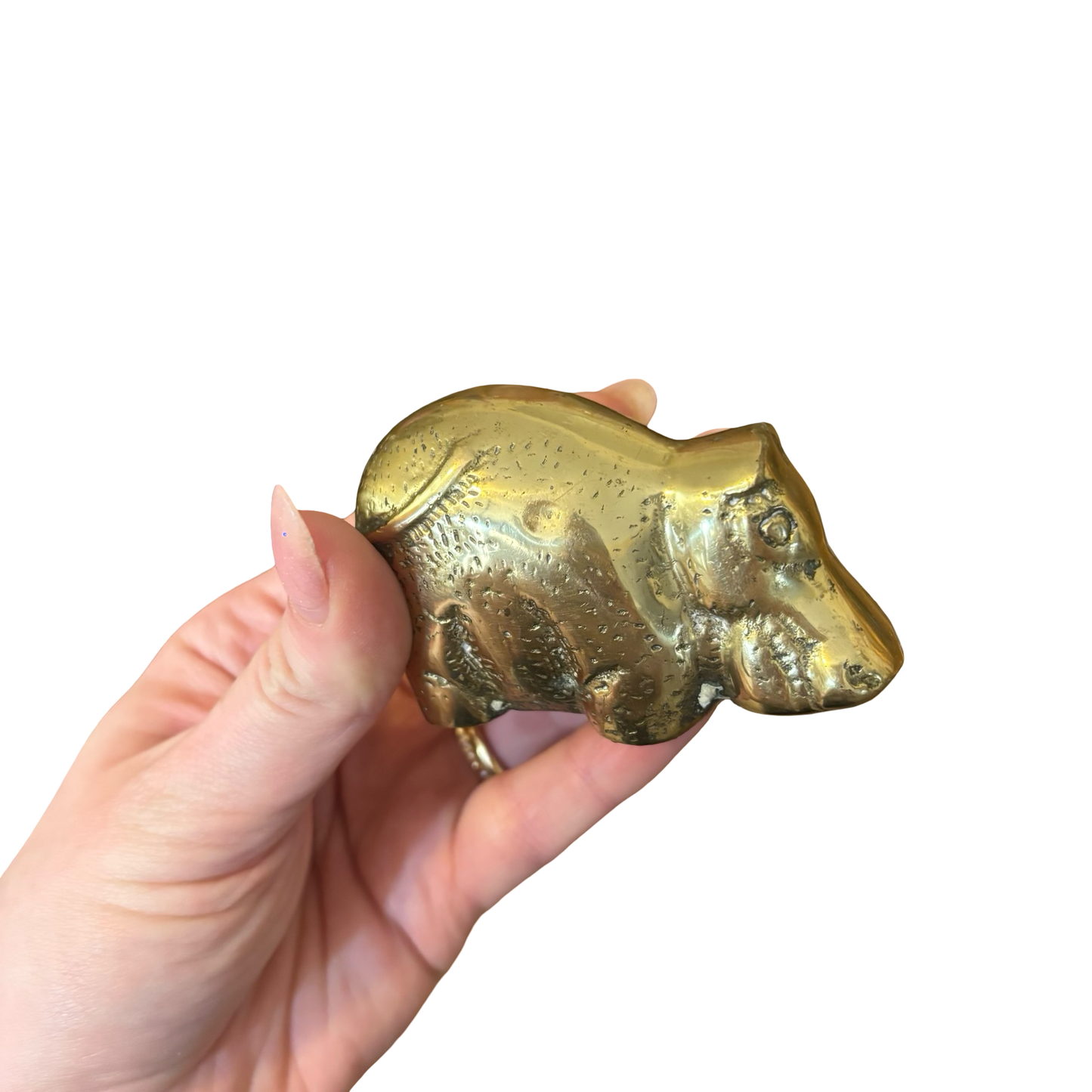 Brass Hippo