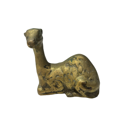 Brass Camel