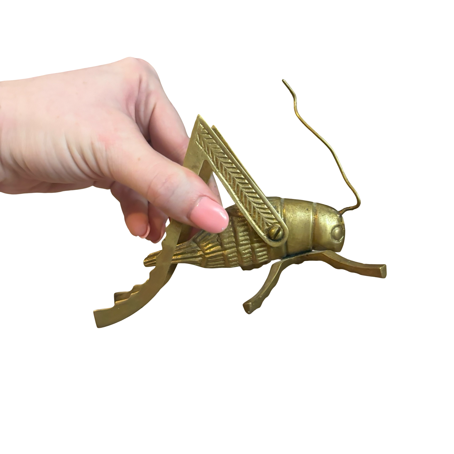Brass Grasshopper