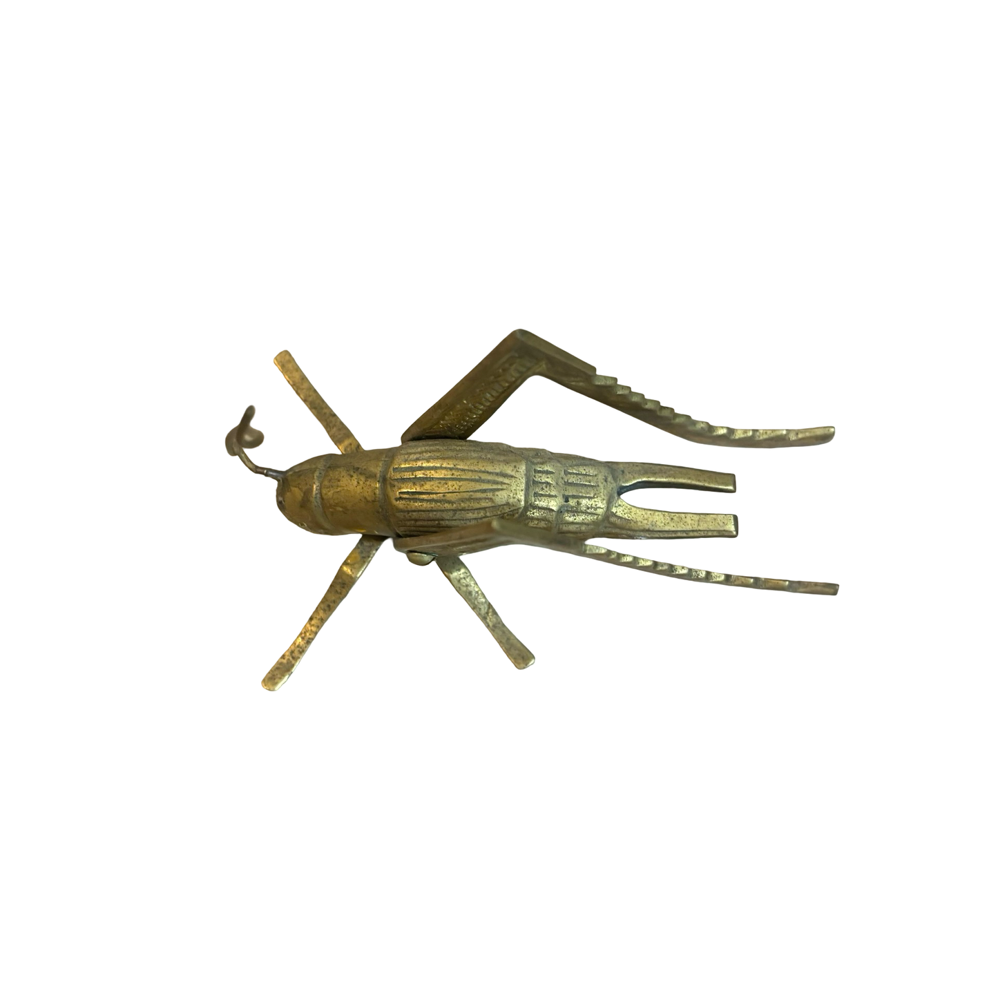 Brass Grasshopper